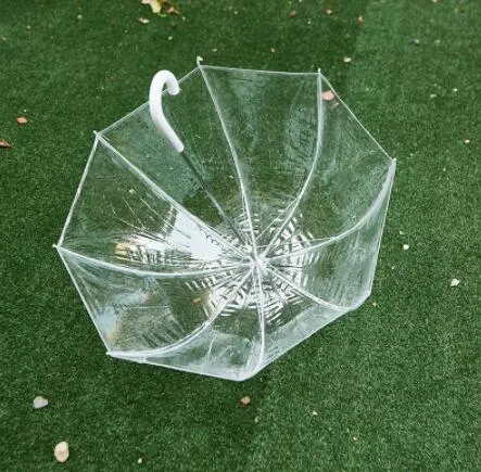 59cm Big Clear Bubble Dome Umbrella, PVC Windproof Kids And Adult