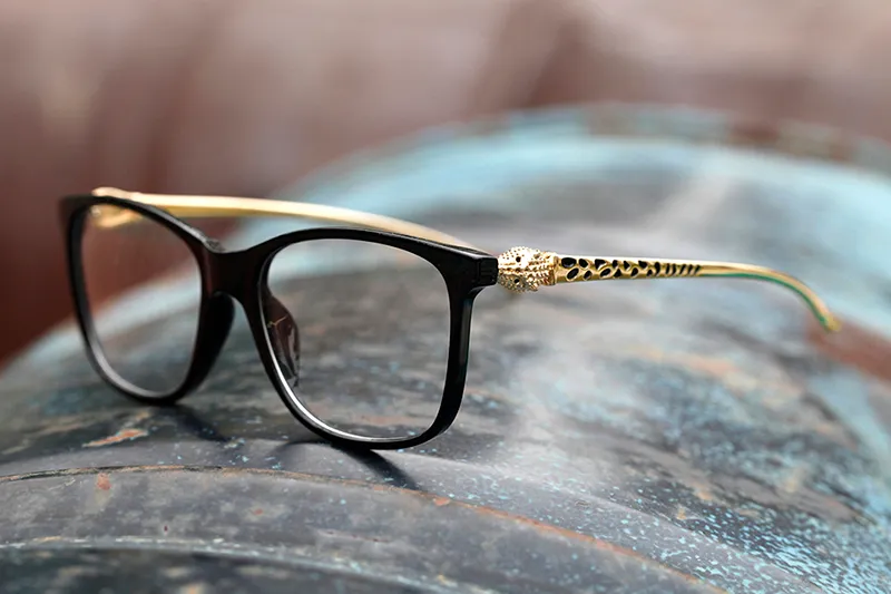 Buffalo head sales sunglasses