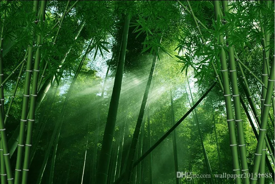 Personalizzato qualsiasi dimensione di bambù 3d carta da parati murale