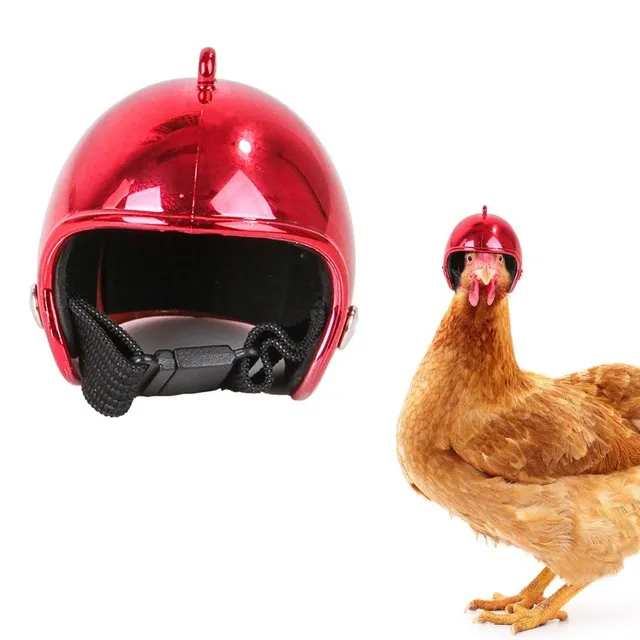 Moto Casque Couvre: Poulet pour Protection Optimale