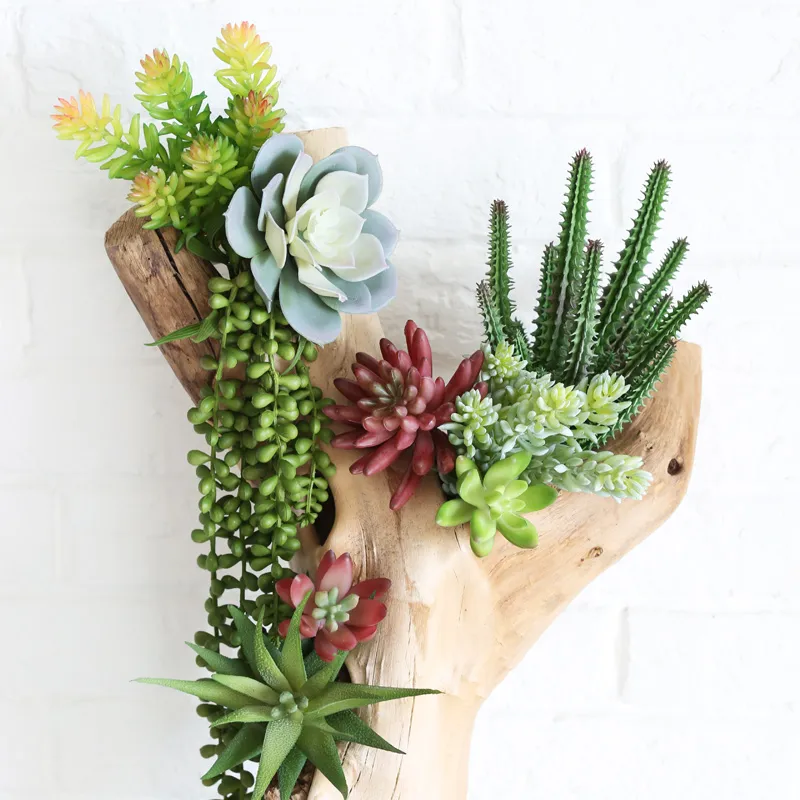 Diverses Plantes Succulentes Artificielles Lotus Paysage Fleur Décorative Mini Vert Faux Plantes Succulentes Plante Jardin Arrangement Décor