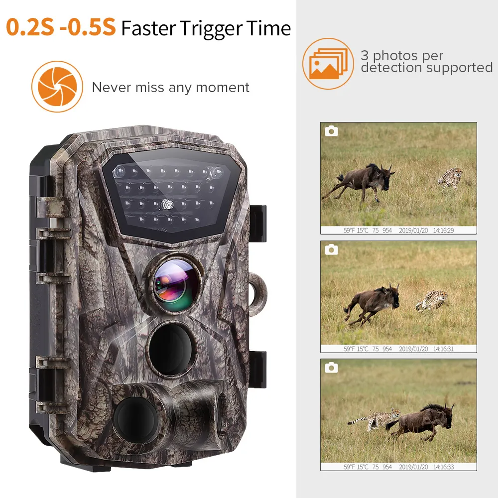 Motion Activated Wildlife Cameras Wildlife Hunting Camera