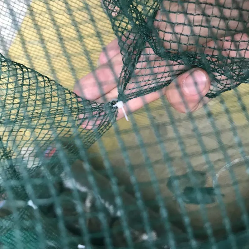 Foldable Fishing Bait Trap Crab Net Crawdad Shrimp Cast Dip Cage Fish  Minnow USA