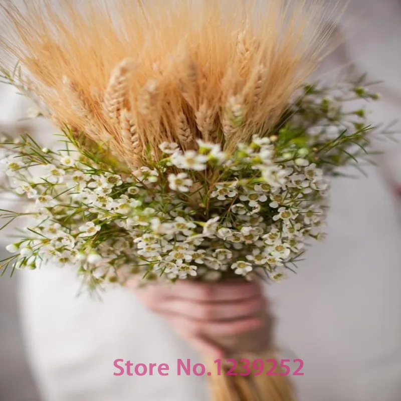 Nuovi 100 Pezzi Naturale Fiori Secchi Decorativi Fiori Spiga Di Grano  Bouquet Rami Secchi La Decorazione Di Nozze C18112601 Da 21,74 €