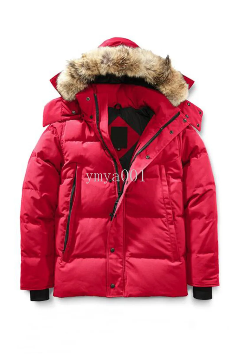 Parka homme hiver jules hotsell