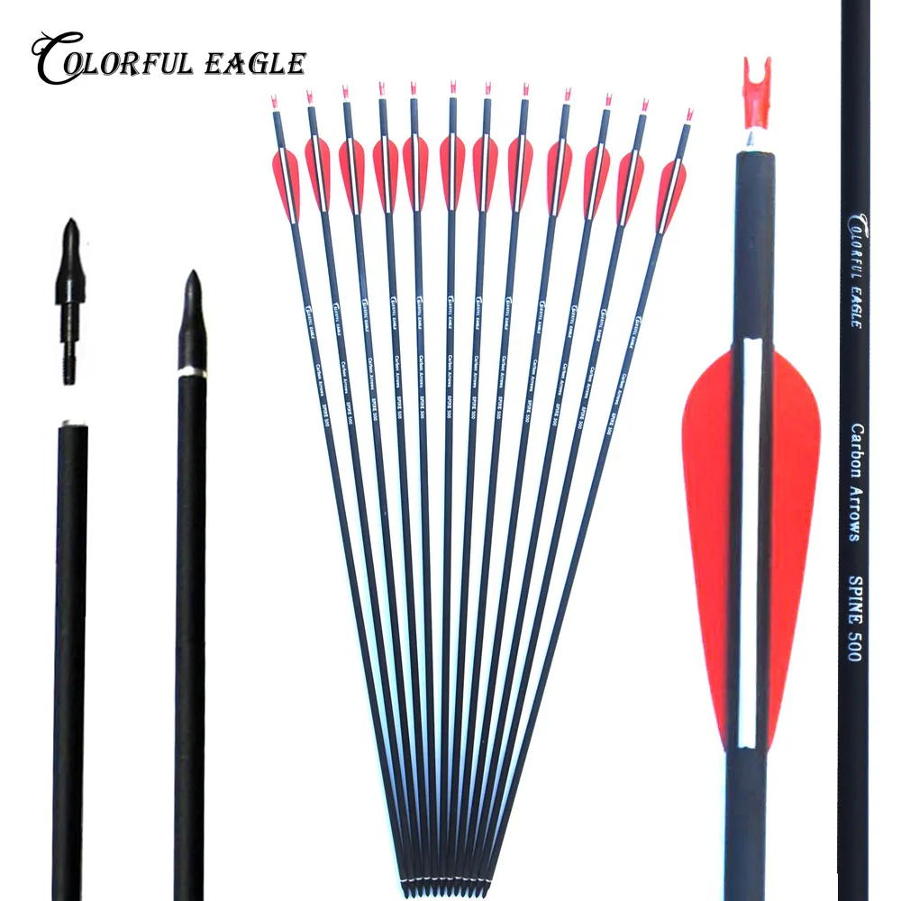 New Spine 500 Carbon Arrow With Replaceable Arrowhead 28/30/31 Inches Length Archery Arrows for Compound Recurve Bow Hunting