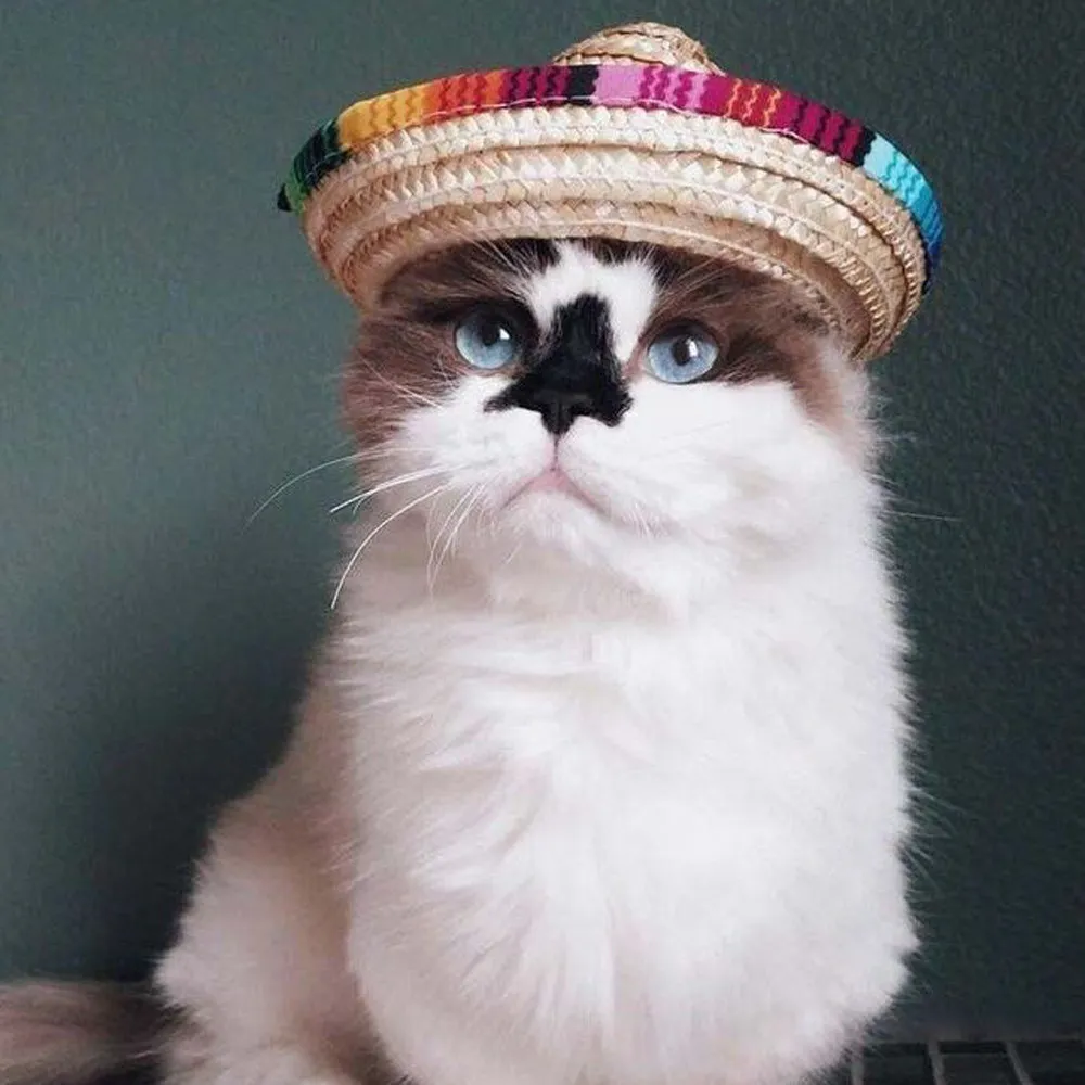 新しい多色ペット麦わら帽子犬猫メキシコ藁ソンブレロ帽子ペット調節可能なバックルコスチュームドロップシップ