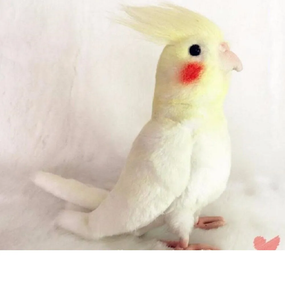 DHgate Cockatoo Plush Toy Black Cockatiel Yellow Parrots Stuffed Animal Creative Gifts for Kids Home Garden