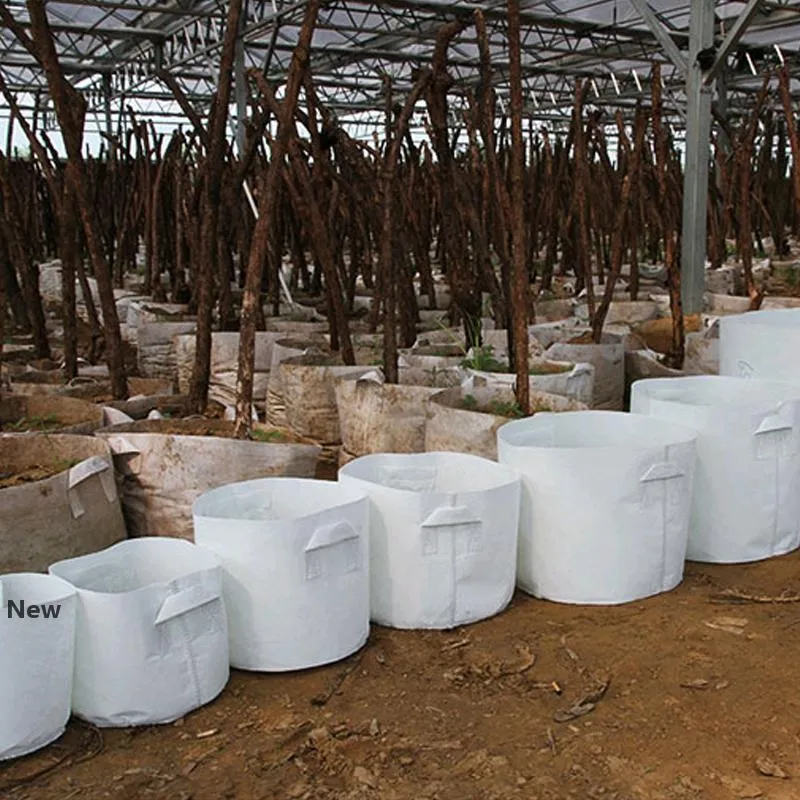 Grow Bags Árvore de tecido não tecido Pots crescer Bag com alça plantas Root Container Pouch Mudas Flowerpot Garden não tecido Sacos GGA2108