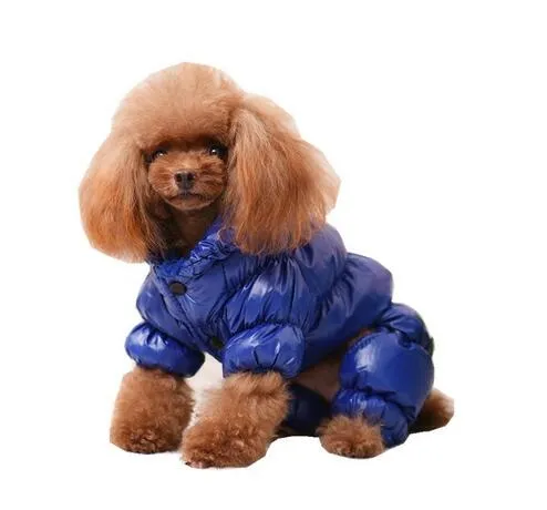 Manteau pour chien de compagnie vêtements d'hiver pour petits chiens Chihuahua bouledogue français Manteau Chien chiens animaux vêtements noël Halloween Costume GB