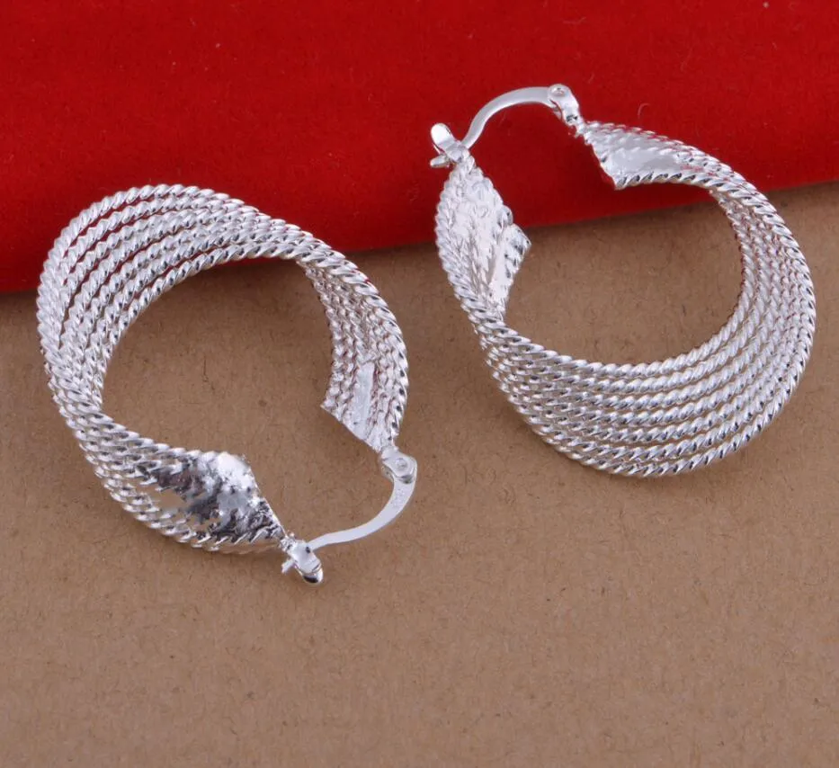 Gli orecchini di personalità dei gioielli di stile europeo e americano di autunno all'ingrosso hanno placcato gli orecchini d'argento 925 di modo orecchini multi-linea opachi