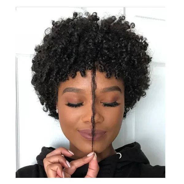 penteado da forma suave cabelo indiano do afro-americano Africano curto crespos encaracolados Simulação cabelo humano peruca encaracolado naturais