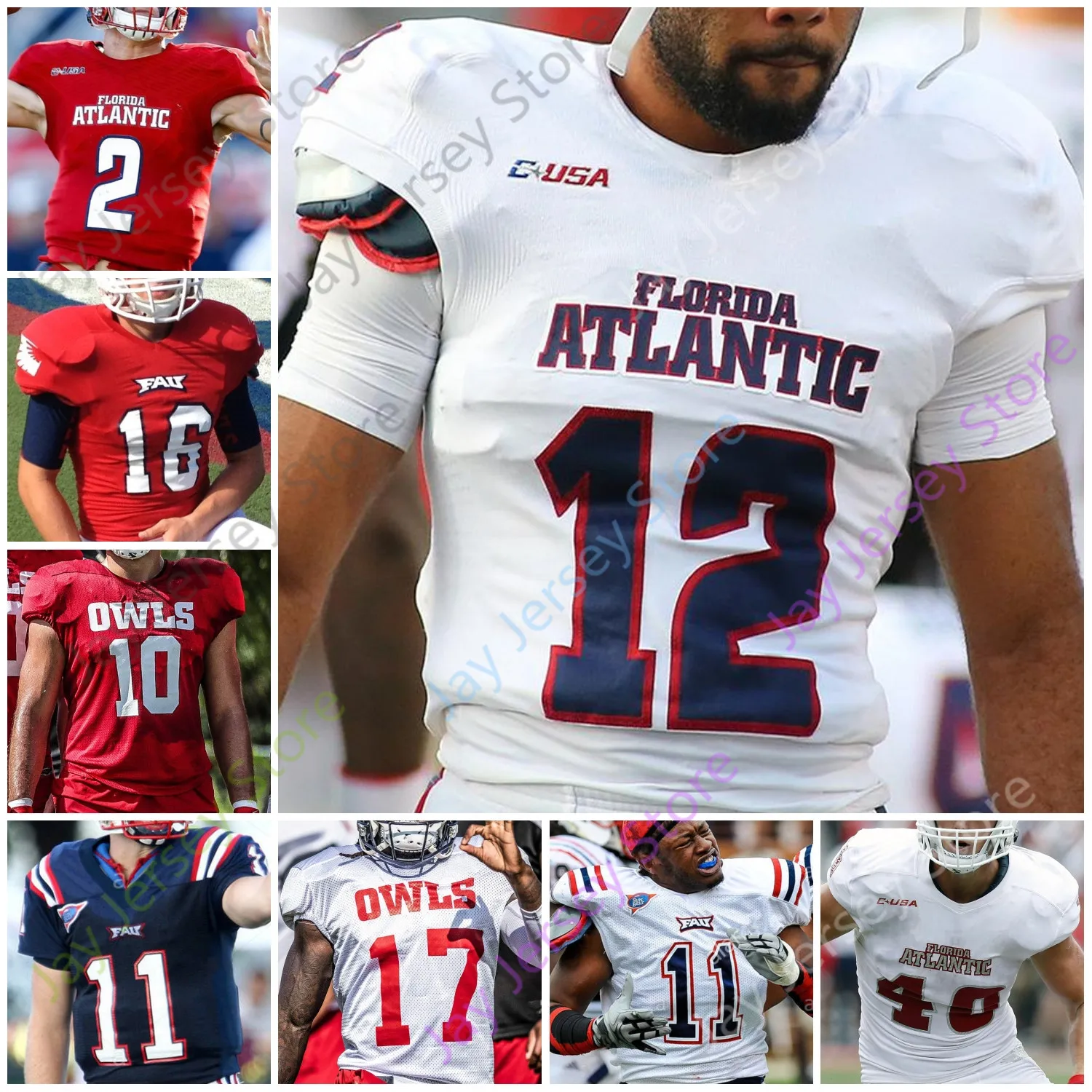 Custom Florida Atlantic Owls FAU Football Jersey NCAA College Akileis Leroy James Charles Ray Ellis Tim Bonner Kerrith Whyte Rusty Smith