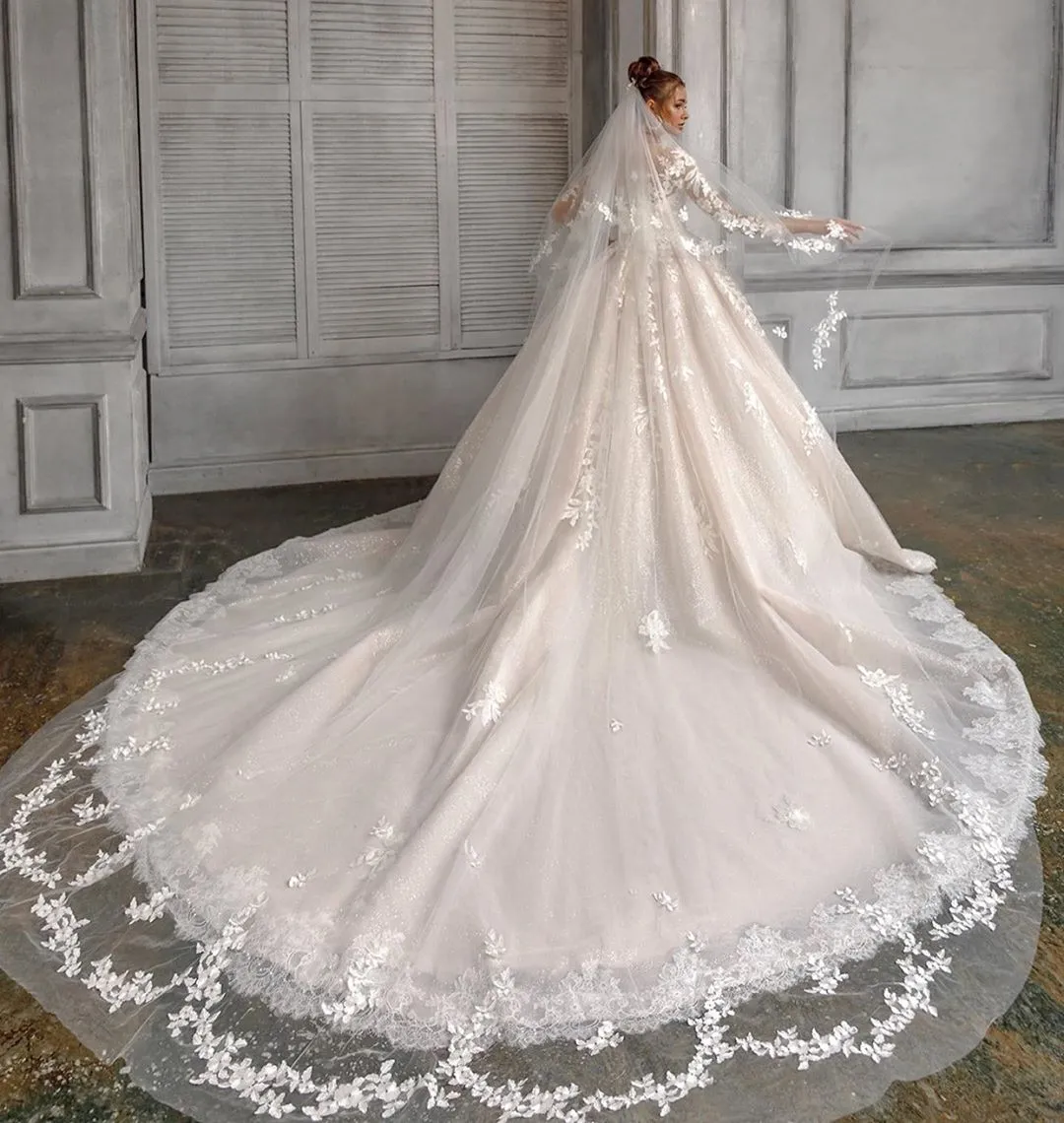 Gorgeous Lace Appliqued Wedding Veils Cut Edge 3M... From  display picture 1
