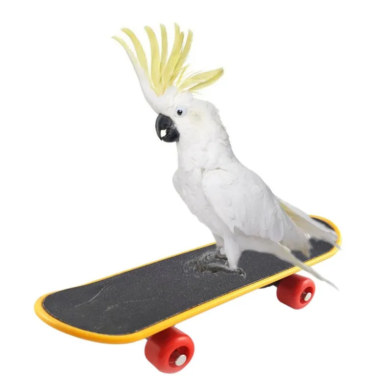 Pet Bird Toys Parrot Intelligence Mini Skateboard Budgies Parakeet Stand Perch Toy Bird Educational Training Accessories