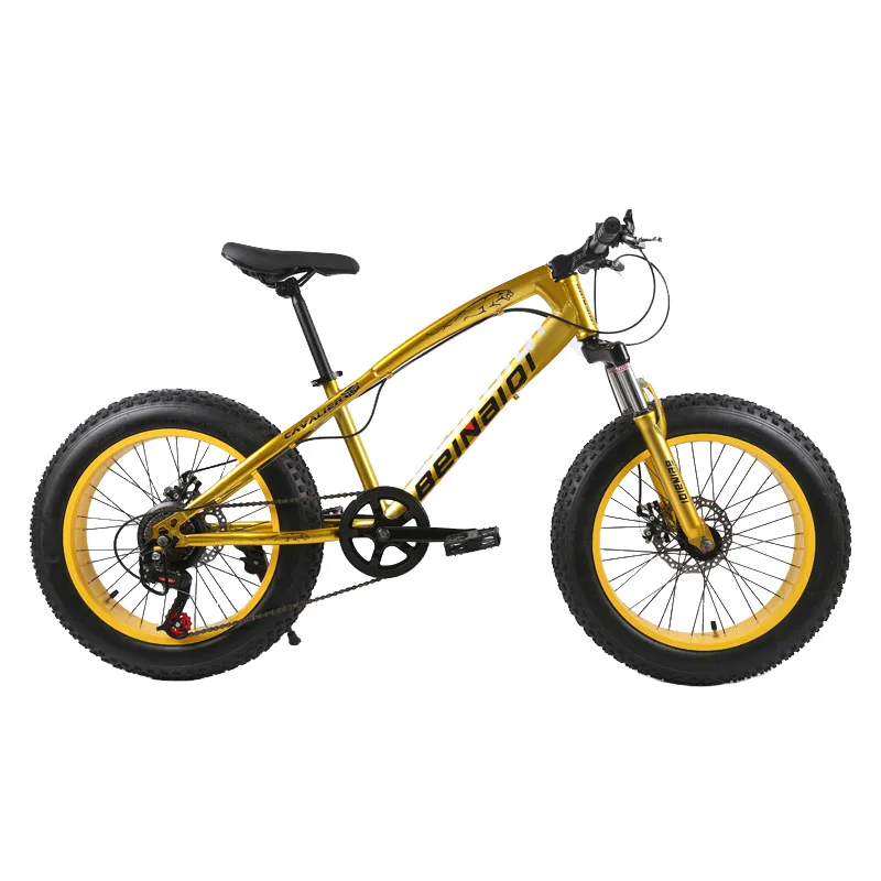 20 Inch Fat Bike Children Kid Fat Tire Mountain Bike Beach Cruiser