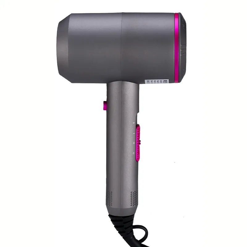 220V 2000W Ionic Constant Temperature Hair Blow Dryer Fast Dry Hot And