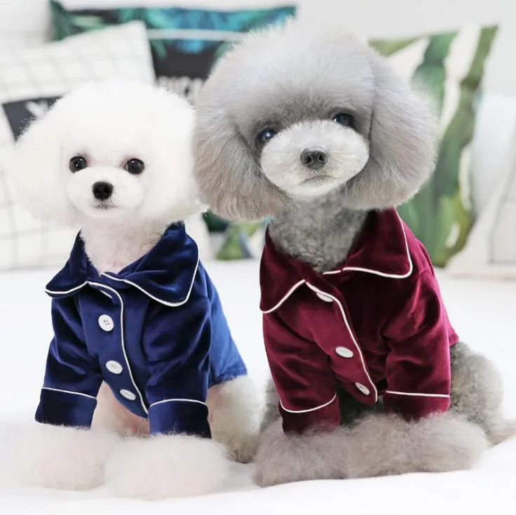 Tamanhos de variedade de roupas de cachorro Pet Autumn e Winter New Dog Twolegged Roupas Home Pijamas Teddy Casual Casual Casual Roupas