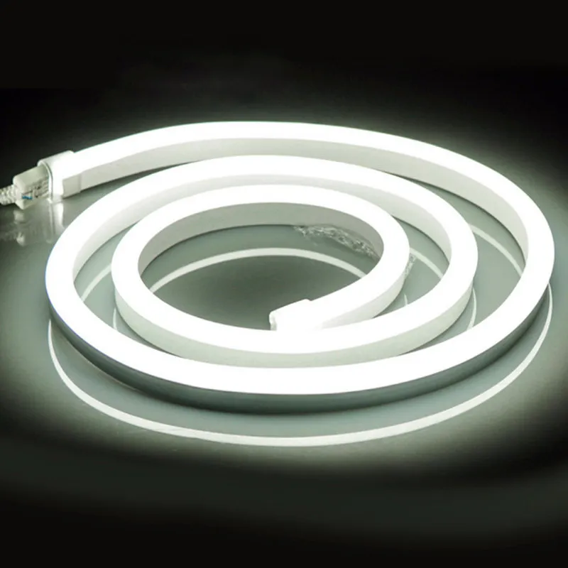 ZML 5050 LED Strip Light – 220V 60 LEDs/m, Waterproof IP65 Flexible Tape (1M-20M Options)