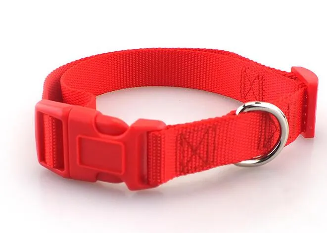 Nylon webbing shop for dog collars