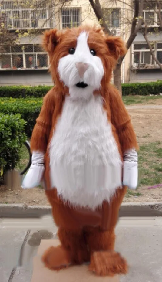 Socialista Habitar Muchos Halloween Hamsters Traje De La Mascota De Dibujos Animados Animal Anime Tema Personaje Carnaval De Navidad Disfraces Disfraces Traje Adulto De 259,94 € | DHgate Socialista Habitar Muchos Halloween Hamsters Traje De La Mascota De Dibujos Animados Animal Anime Tema Personaje Carnaval De Navidad Disfraces Disfraces Traje Adulto De 259,94 € | DHgate