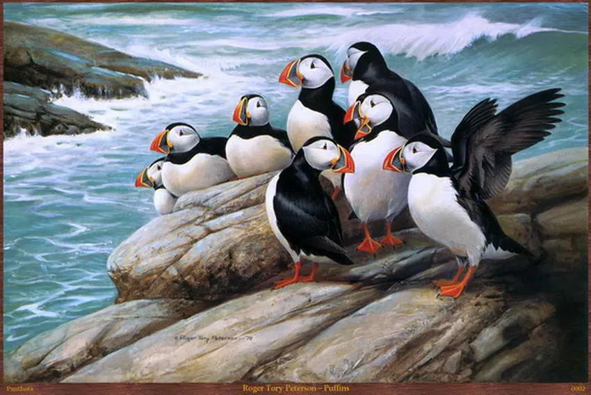 Modernes HD-gedrucktes Kunstdekor, Tiervogel-Ölgemälde, Bild auf der Leinwand für die Bürodekoration, Kunst ZXTP1 (10)