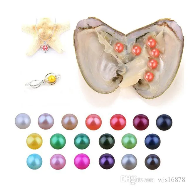 2019 DIY 6-7mm Süßwasser-Auster mit Sextuplet-Perlen Gemischte 27 Farben Top-Qualität Kreis natürliche Perle im Vakuum-Paket für Schmuck Geschenk