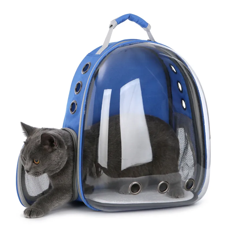 Cat shop travel bag