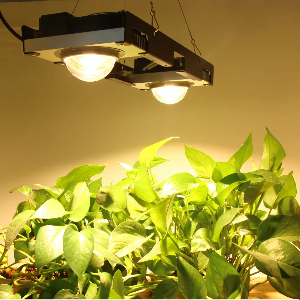 Cob cree led grow light hotsell