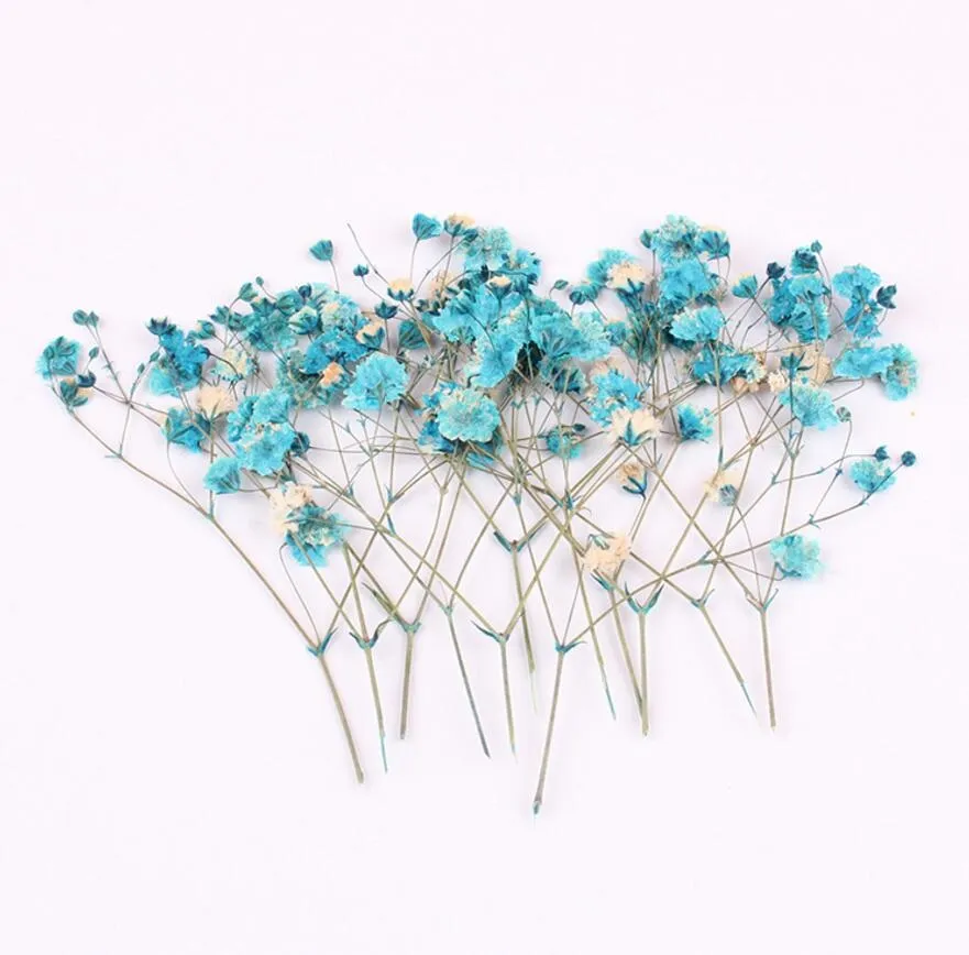 Fleur séchée pressée Gypsophila paniculata, 120 pièces, pour la fabrication de bijoux en résine époxy, cadre de carte postale, étui de téléphone artisanal DIY3894247