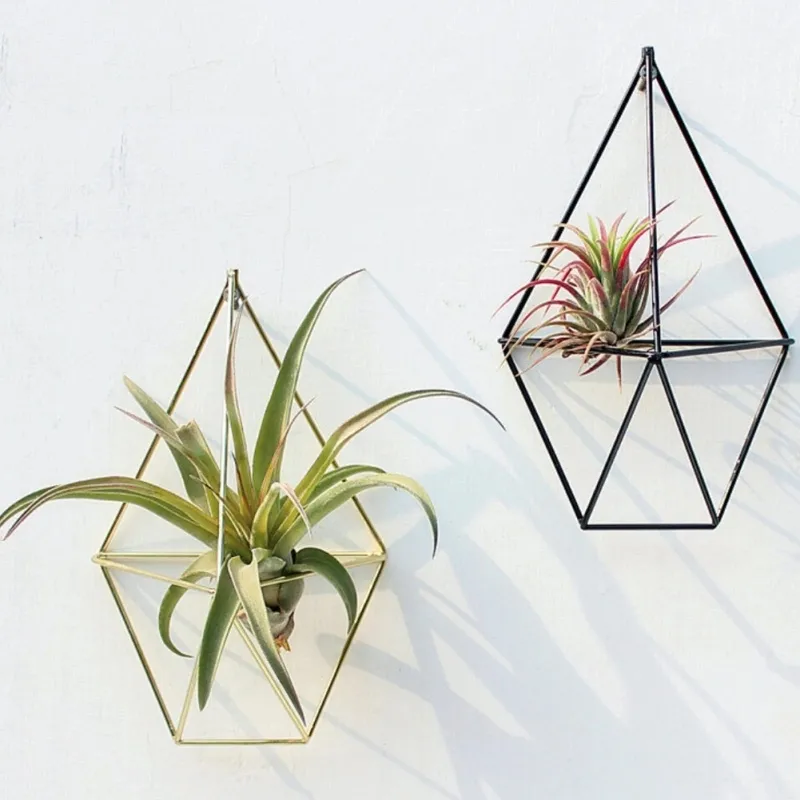 Metal Pastoral Wall Freestanding Hanging Tillandsia Air Plants Rack Rustic Wrought Geometric Tripod Air Plant Holder