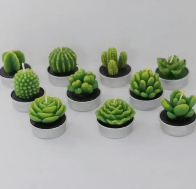 6Pcs Sukkulenten Pflanzen Form Kaktus DIY Aroma Gips Gips Silikon Kerze Formen Hause Hochzeit Geburtstag Party Dekoration