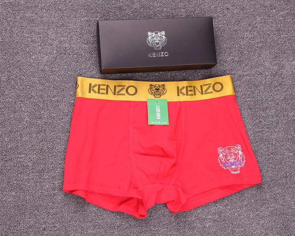 Calzoncillos kenzo 2025