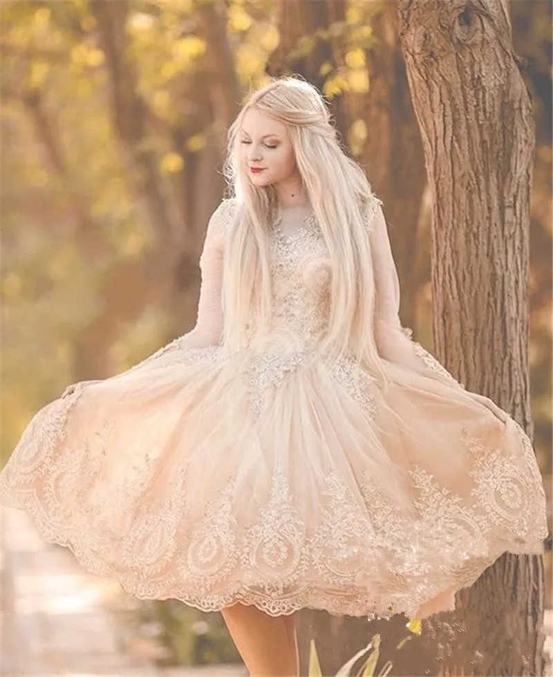 Mini Homecoming Dress with Puffy V Neck and Lace Appliques Illusion Long Sleeves Plus Size Party Gown from Dhgate Homecoming Dresses - price 194.17 Mini Homecoming Dress with Puffy V Neck and Lace Appliques Illusion Long Sleeves Plus Size Party Gown from Dhgate Homecoming Dresses - price 194.17
