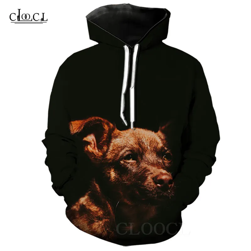 Hip Hop Mens Coolies 3D Print Cute Puppy Długie Rękaw Bluzy Z Kapturem Cool Animal Dog Hoodie Moda Streetwear Hoody Pullover