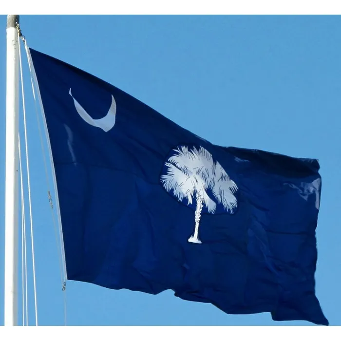 South Carolina-Flagge, 90 x 150 cm, individuelle USA-Staatsflaggen, 90 x 150 cm, für den Innen- und Außenbereich, zum Aufhängen, preiswertes Banner mit hoher Qualität