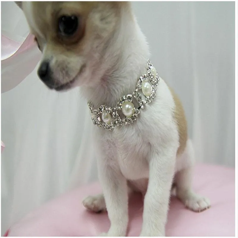 Bling Rhinestone Köpek Yaka Köpekler Inci Kolye Alaşım Elmas Kolye Pet Yaka Yavru Tasmalar Köpekler Aksesuarları