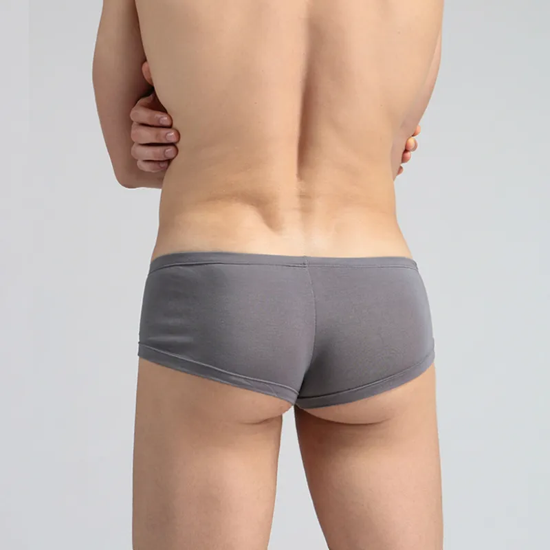 Underpants Mens Sexy Boxer Shorts Modal Men Underwear Long Bulge Pouch  Cuecas Boxers Erotic Lingerie Underpant Gay From Aqueen, $39.49