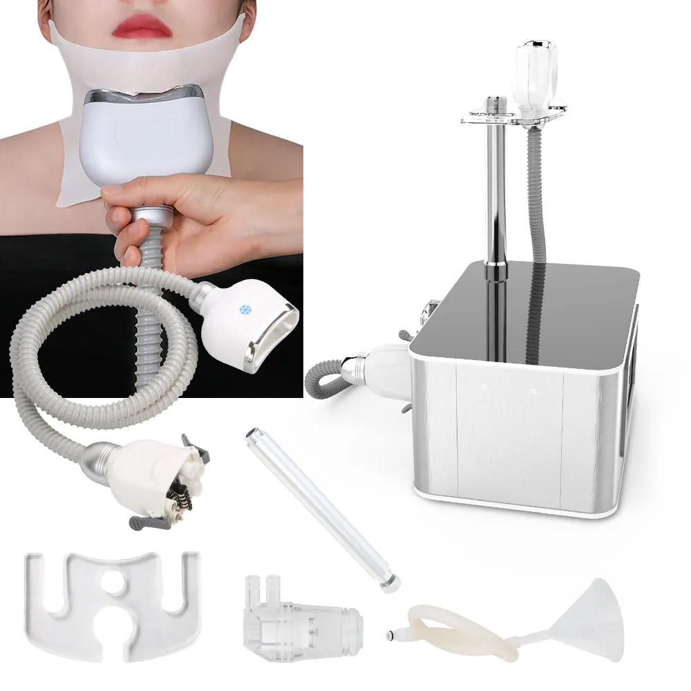 Refroidissement Minceur Machine V-face Lifting Instrument Masseter Face-lifting Double menton Enlèvement Anti Rides Soins de La Peau