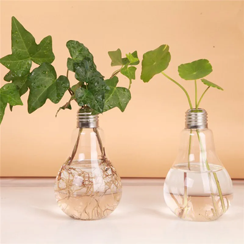 24 X D8*14cm Transparent Glass Flower Vase Bulb Shape Hydroponic