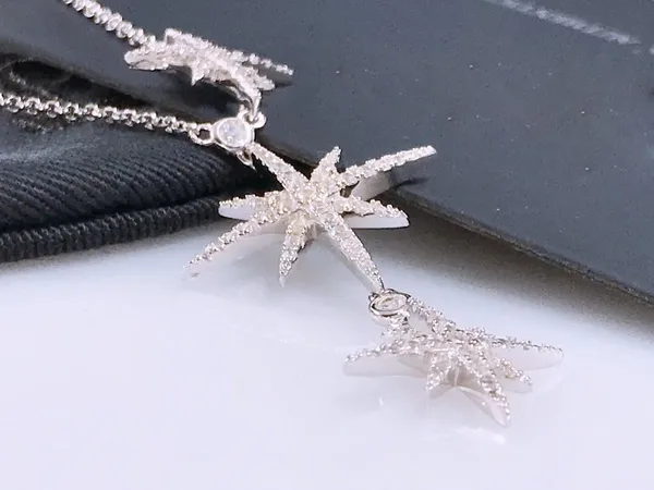 2020 lüks tasarımcı takı kadın kristal moda kız S 925 gümüş kayan yıldız kolye kolye dolu kolye