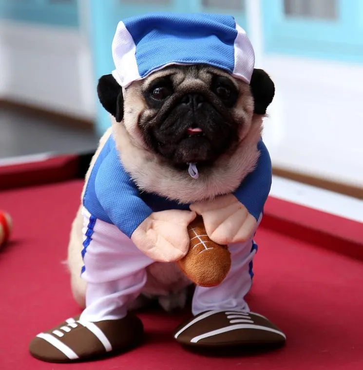 熱い販売ペット犬の変革変化面白いサッカー服プードル立っている衣装爆発的なスポーツウェアの変貌服