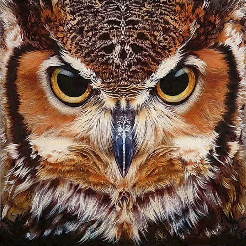 Custom 5D Owl Diamond Art Full Drill Owl Design For Home