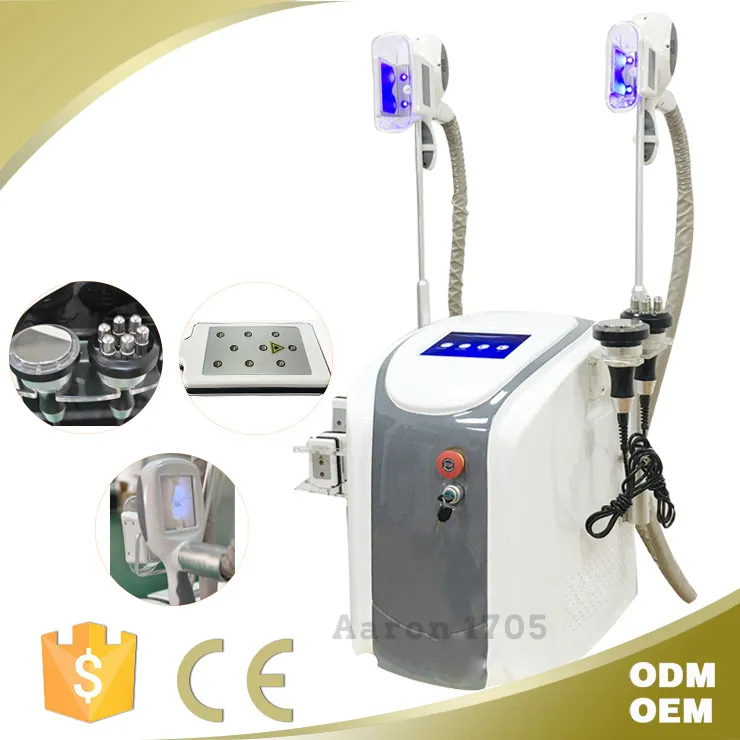 냉동 지질 분해 지방 동결 슬리밍 머신 Lipo Laser Cavitation RF 스킨 회사 2 손잡이 냉동 체중 감량 기계