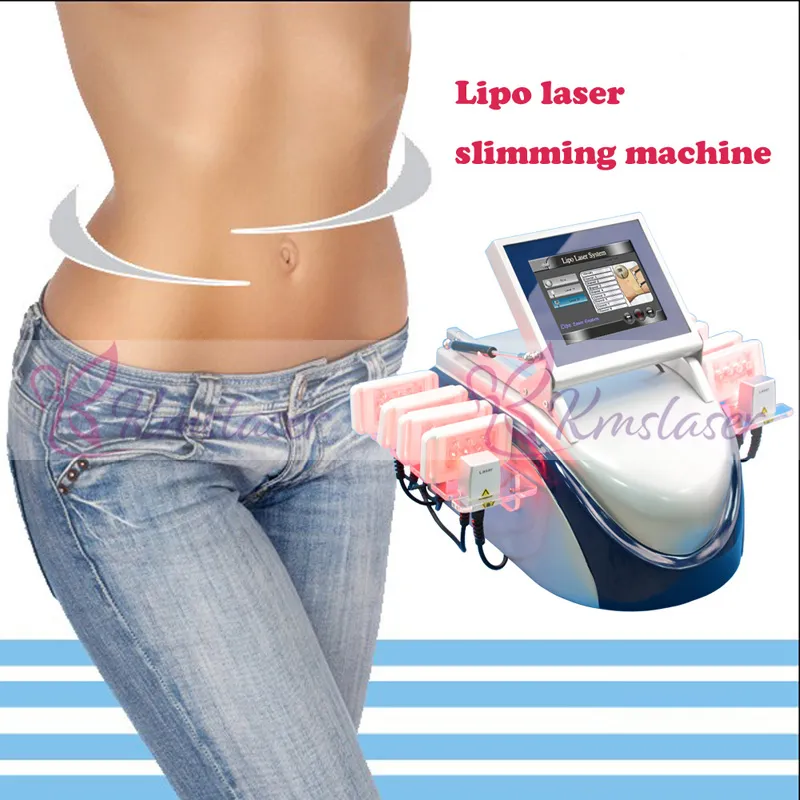 Prix d'usine !!! 10 palettes laser zerona Cold Laser lipolysis lipolaser diode lipo laser amincissant l'équipement