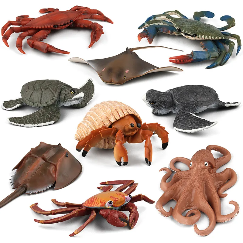 Simulaci￳n animales marinos modelo juguete accesorios decorativos cangrejo pulpo ray tortuga marina organismos marinos modelos adornos decoraciones ni￱os aprendiendo juguetes educativos