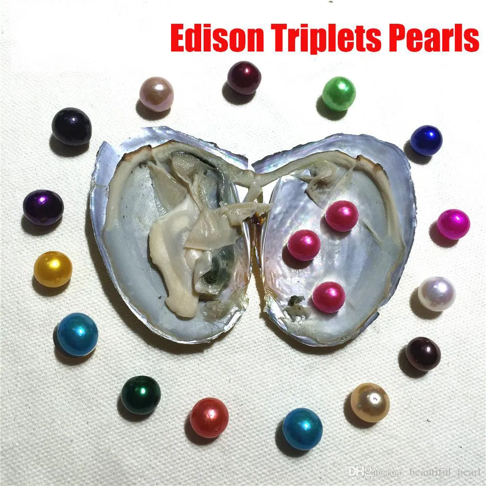 2020 DIY Edison Oyster Pearl 9-12MM Round Triplets Pearl in Oysters Freshwater shell with Colouful Pearls Jewelry By Vacuum Packed