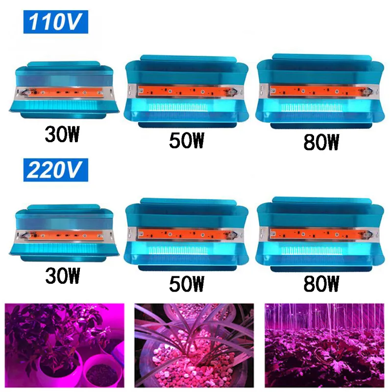 Cob LED Grow Light 30W 50W 80W Spectre complet LED LEDS LUMIÈRES IMPHERPORSE 110V 220V GRENAGE ÉCLAIR