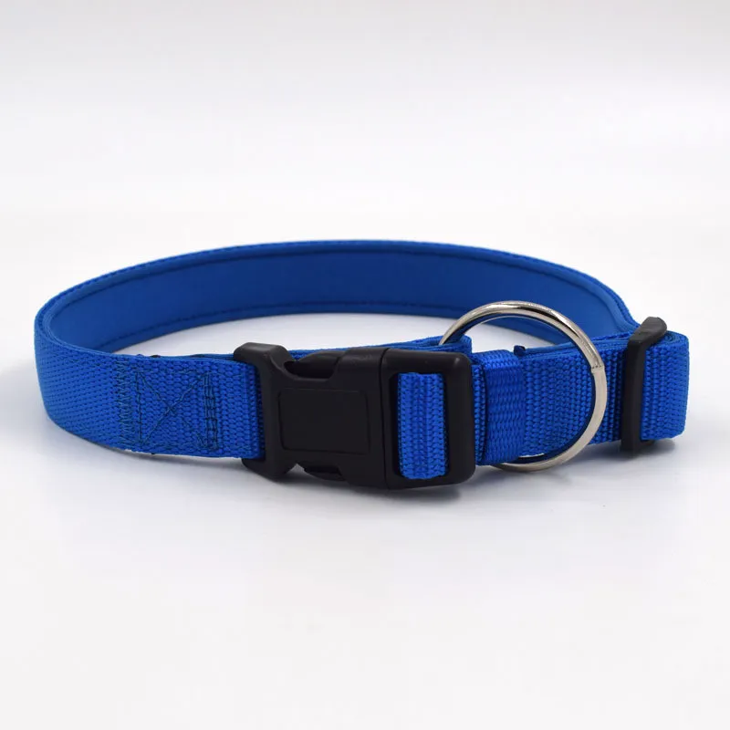Collier réglable en Nylon pour chien, bleu, noir, rouge, couleur Pure, collier pour animaux de compagnie, avec boucle et Clip pour plomb