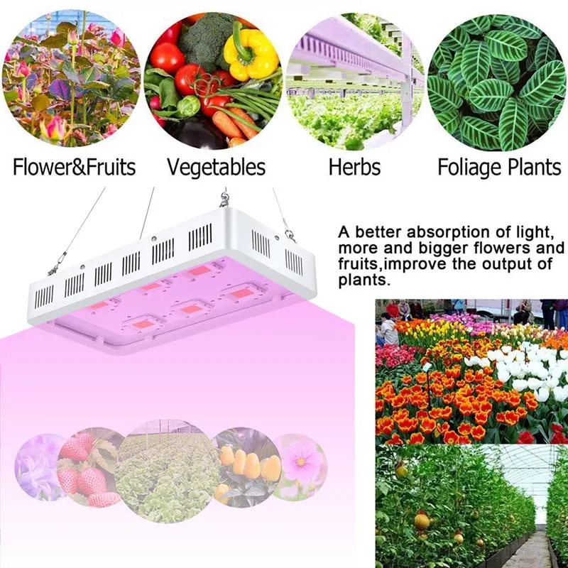 LED växer ljus, inomhus växt ljus, full spektrum växande lampa, inomhus växt ljus för växthus hydroponics, grönsaker och blommor